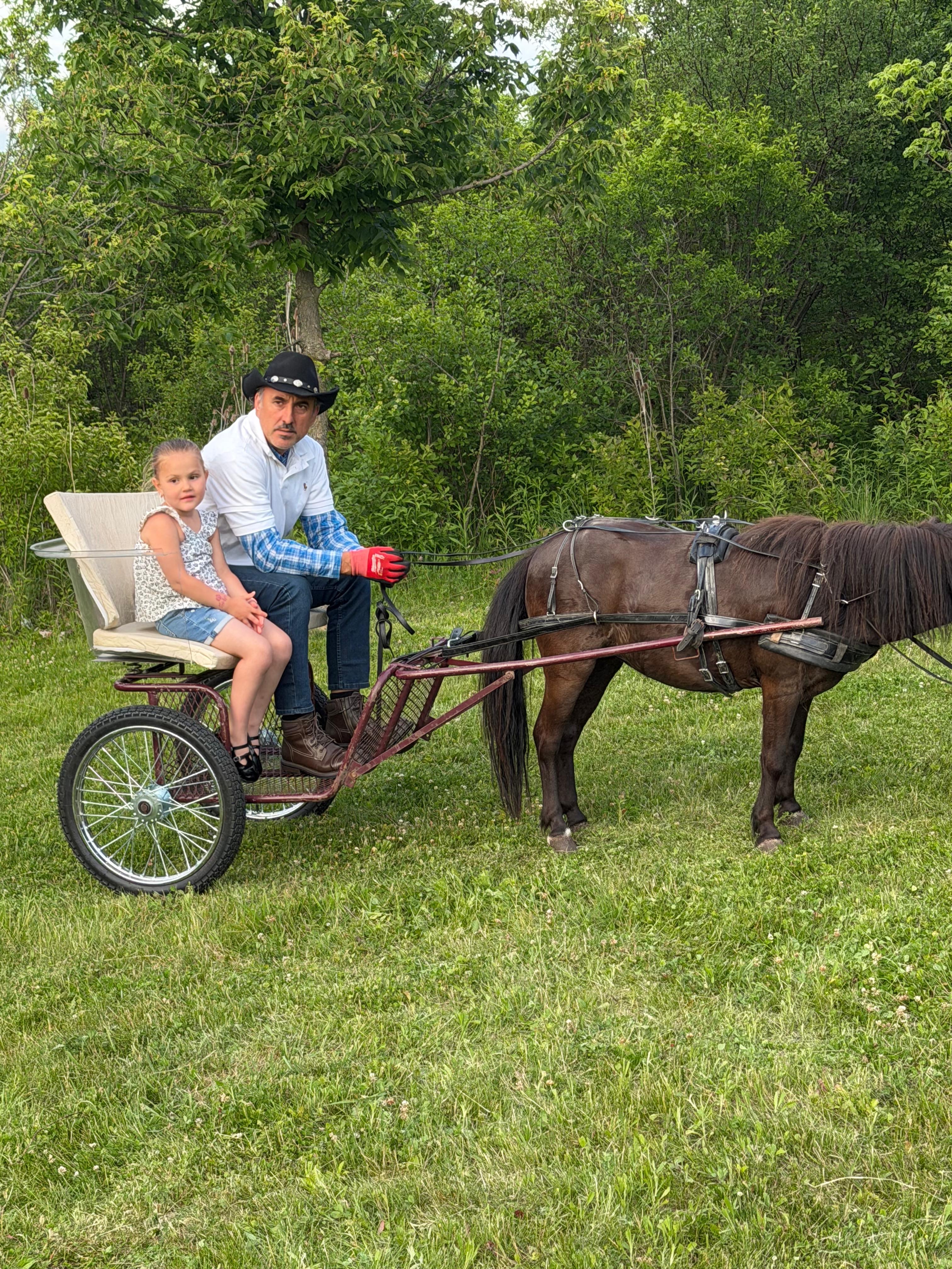People on small carriage getting pulled by a pony.