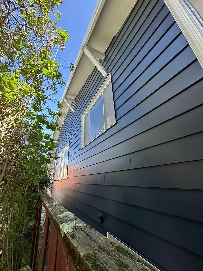 Best painters in the bay area