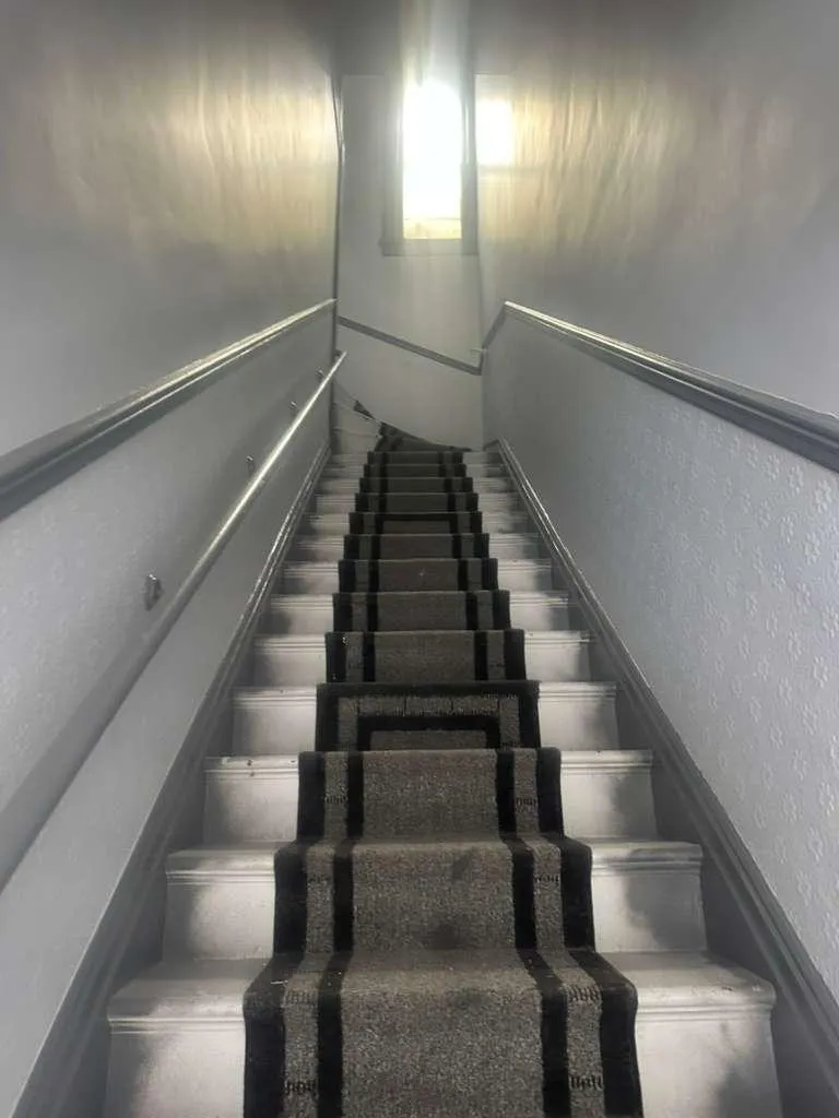 Bay area painting experts