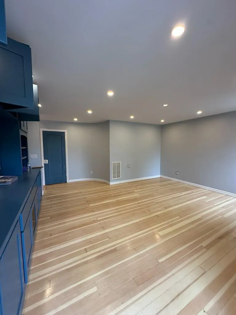 Bay area painting experts