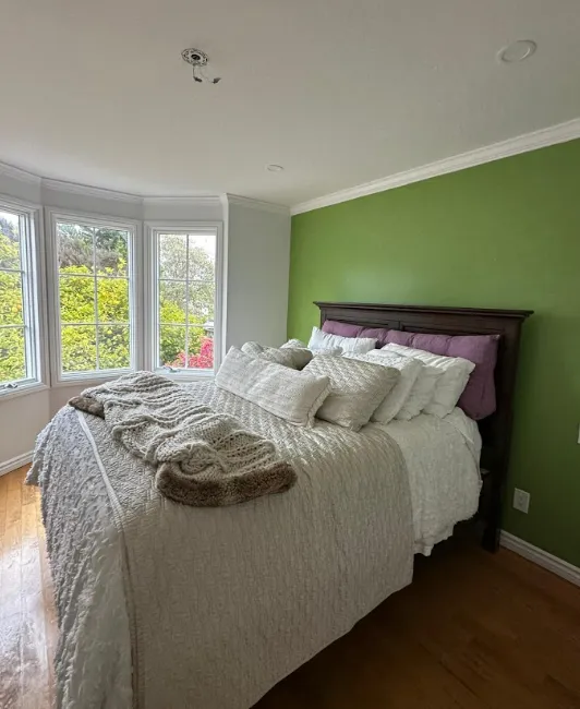 Bay area painting experts