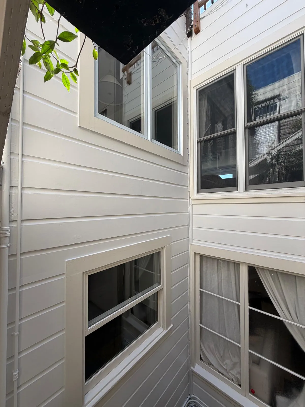 Bay area painting experts