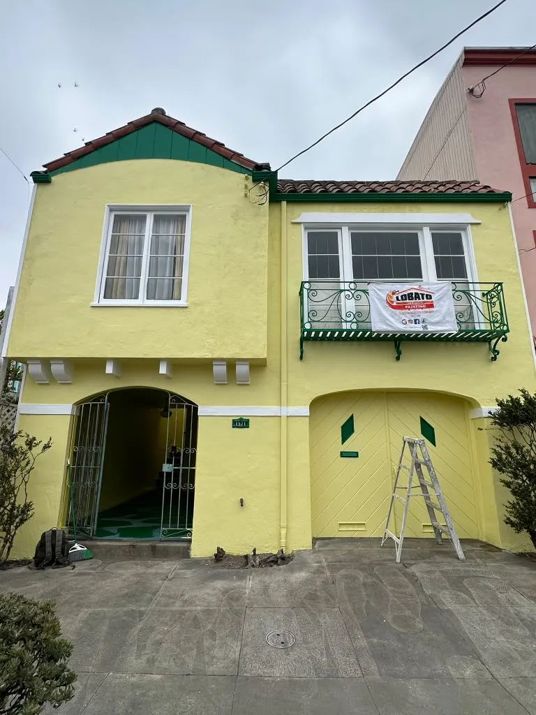 Bay area painting experts