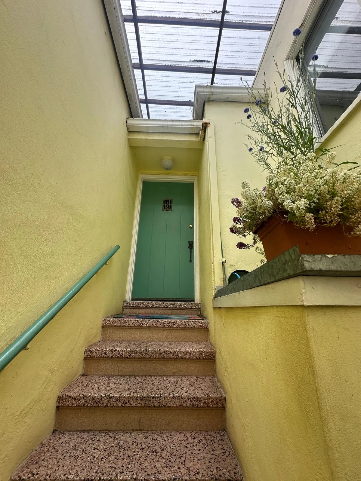 Bay area painting experts