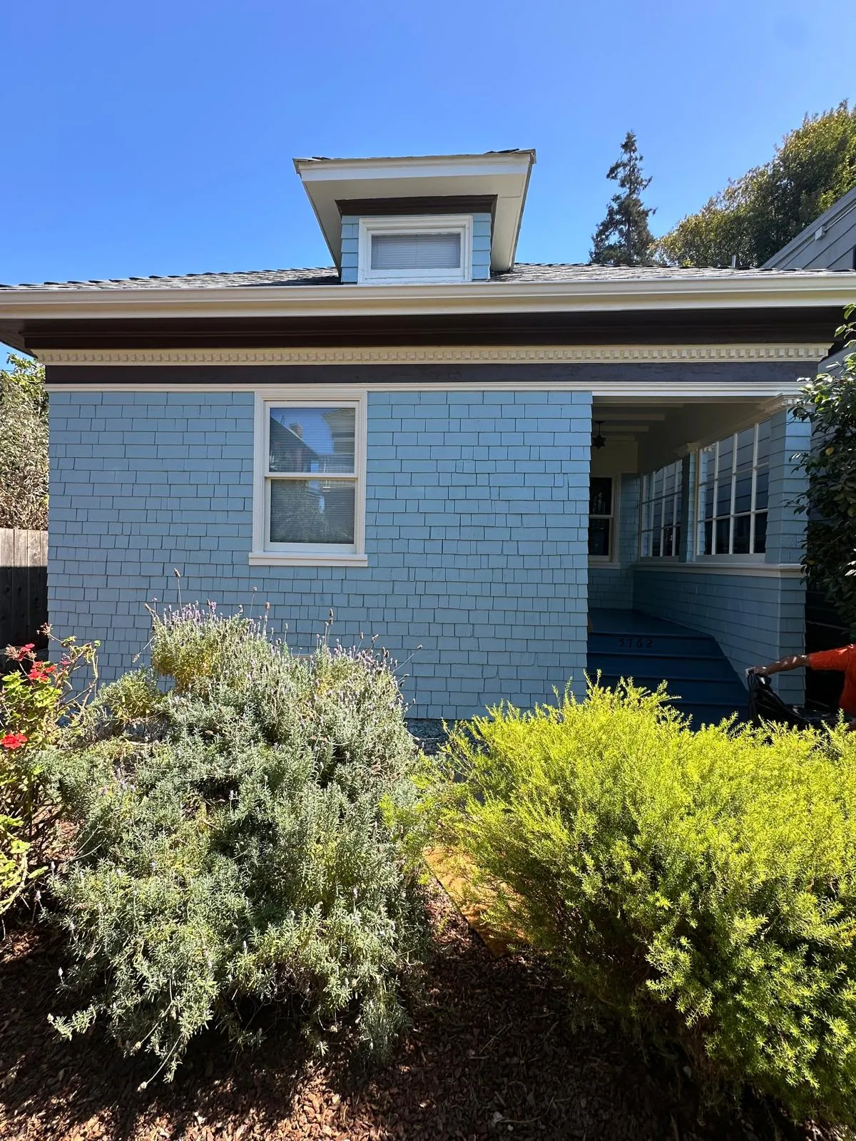 Bay area painting experts