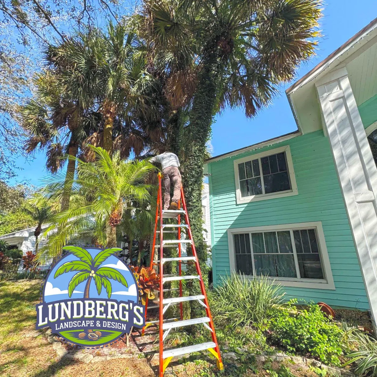 building scale model