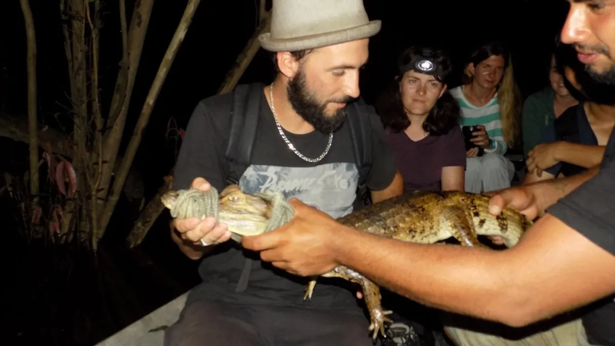 authentic amazon adventures caiman catching night life exploring jungle tours manaus Brazil day night 