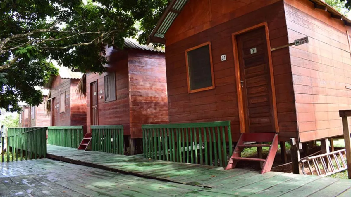 authentic amazon adventures deep jungle experiences lodge multi day company brazil manaus rainforest lodge