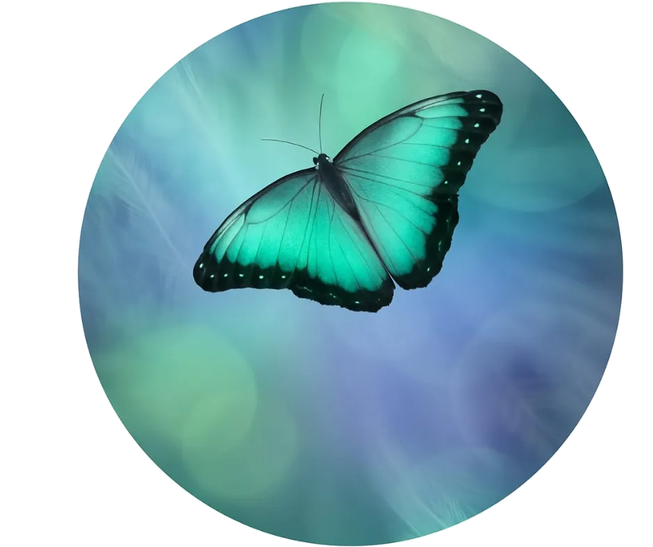 Lumina Holistic Counselling kent