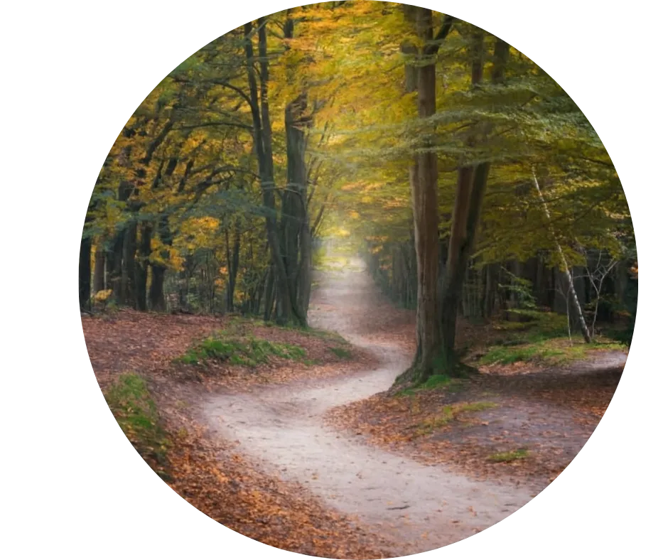 Lumina Holistic Counselling