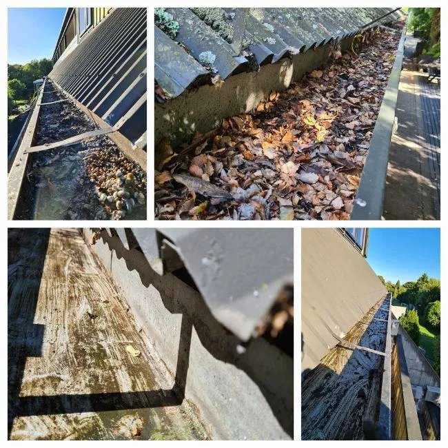 Christchurch Gutter Cleaning