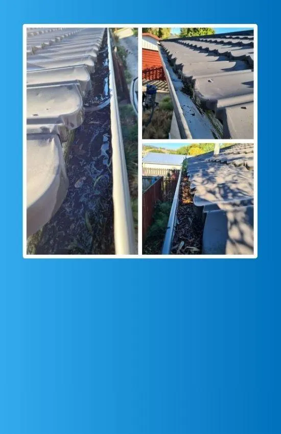 Christchurch Gutter Cleaning