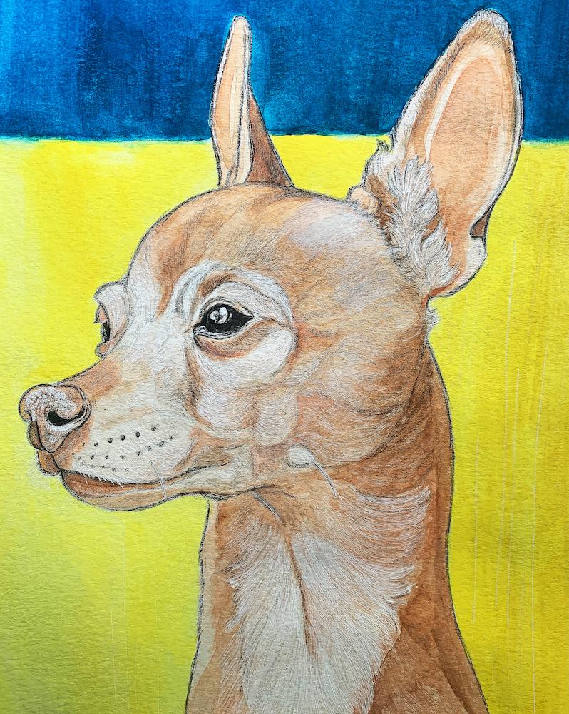 colorful blue and yellow painting of chihuahua dog 