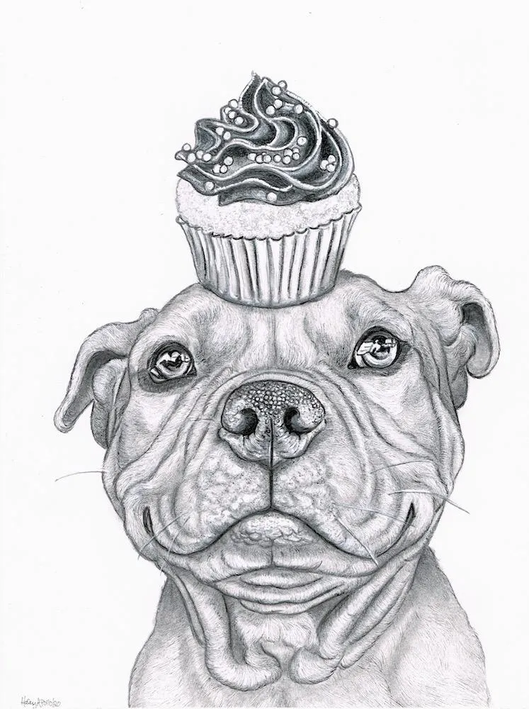 Pit bull with cupcake on head