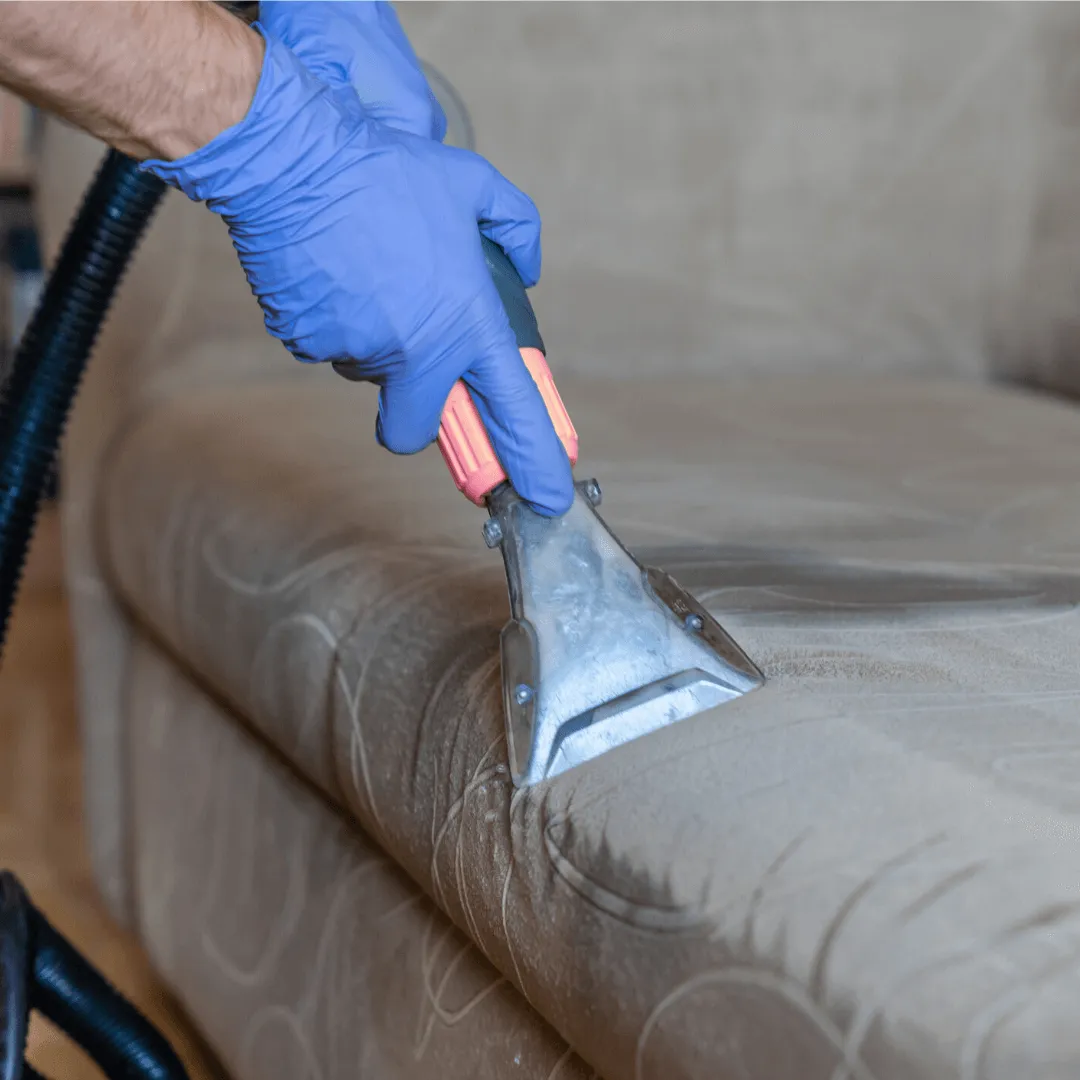 Cleaning couch cushion