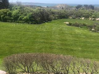 Putting Greens of Cape Cod Photo Gallery Work