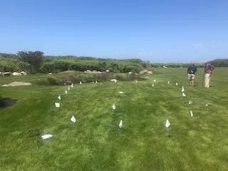 Putting Greens of Cape Cod Photo Gallery Work