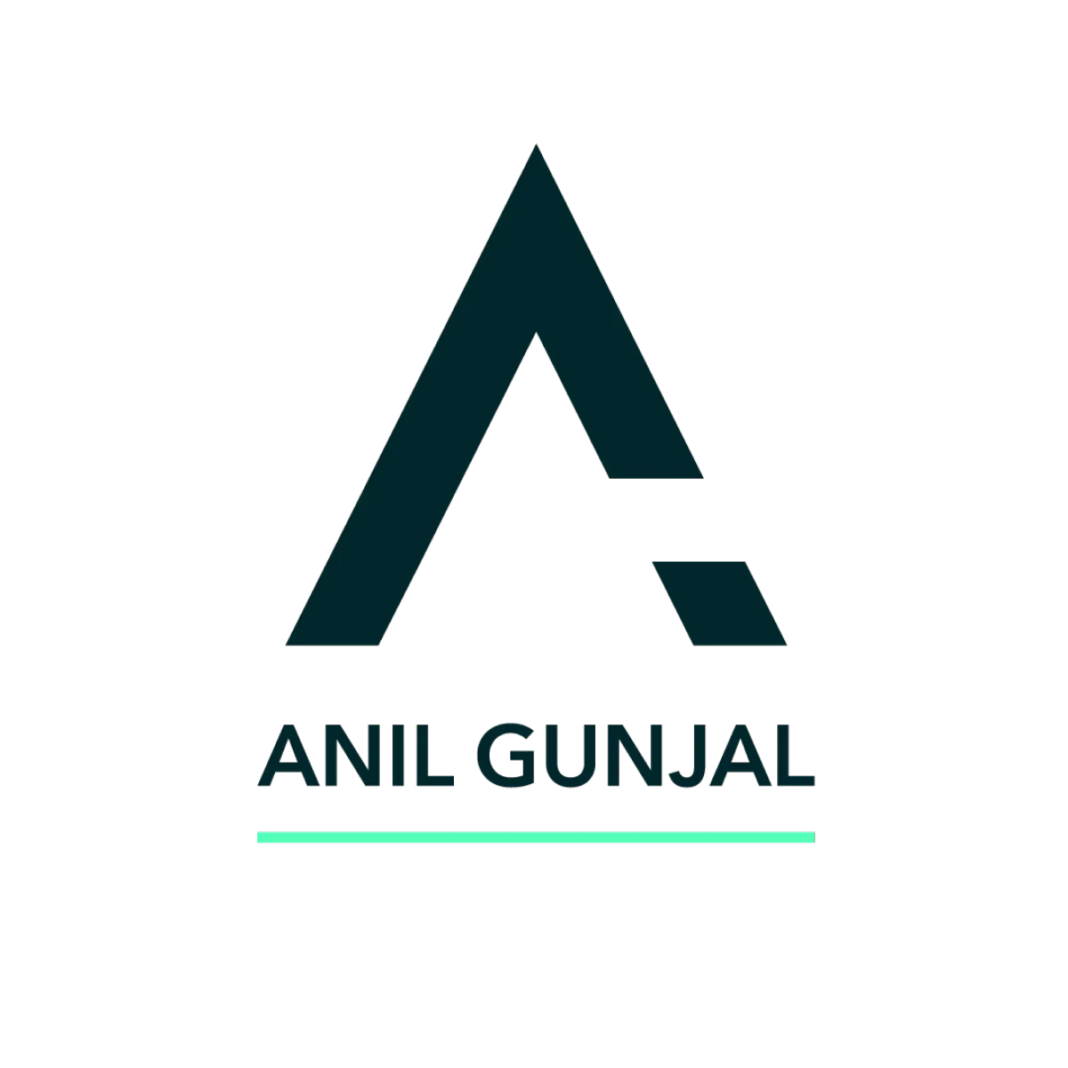 Anil Kumar Financial Services