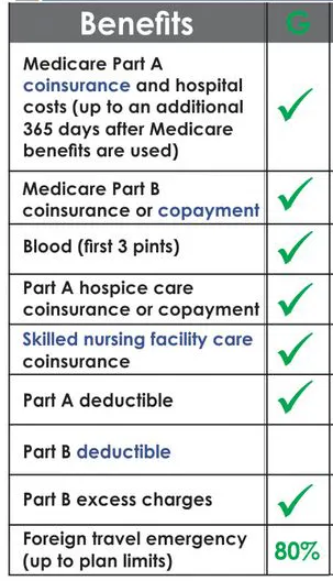 Chart showing the benefits of Medicaid Supplement (Medigap) Plan G
