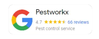 Google Reviews Pestworkx