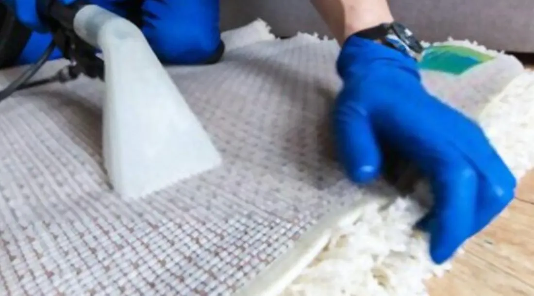 Rug Cleaning - Upholstery Cleaning PackageCarpet Cleaning Accessories –  ProSupply USA