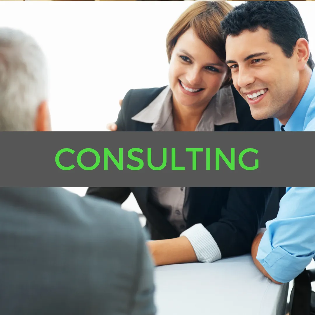 funding for consulting