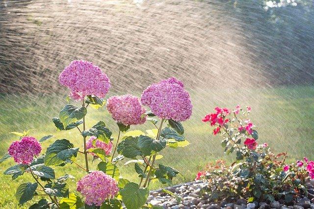 irrigation installation and repair salem or