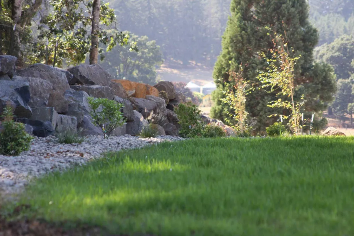 lawn installation salem or