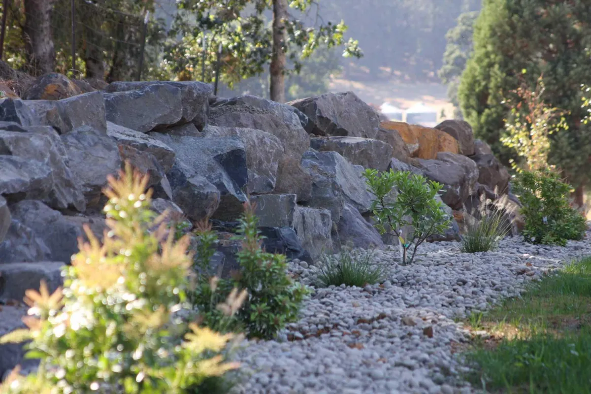 residential landscape design salem oregon