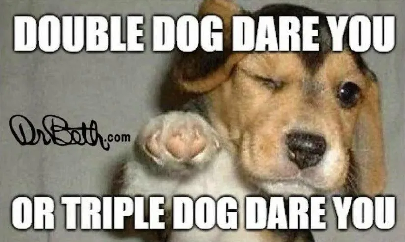 Double Dog Dare You