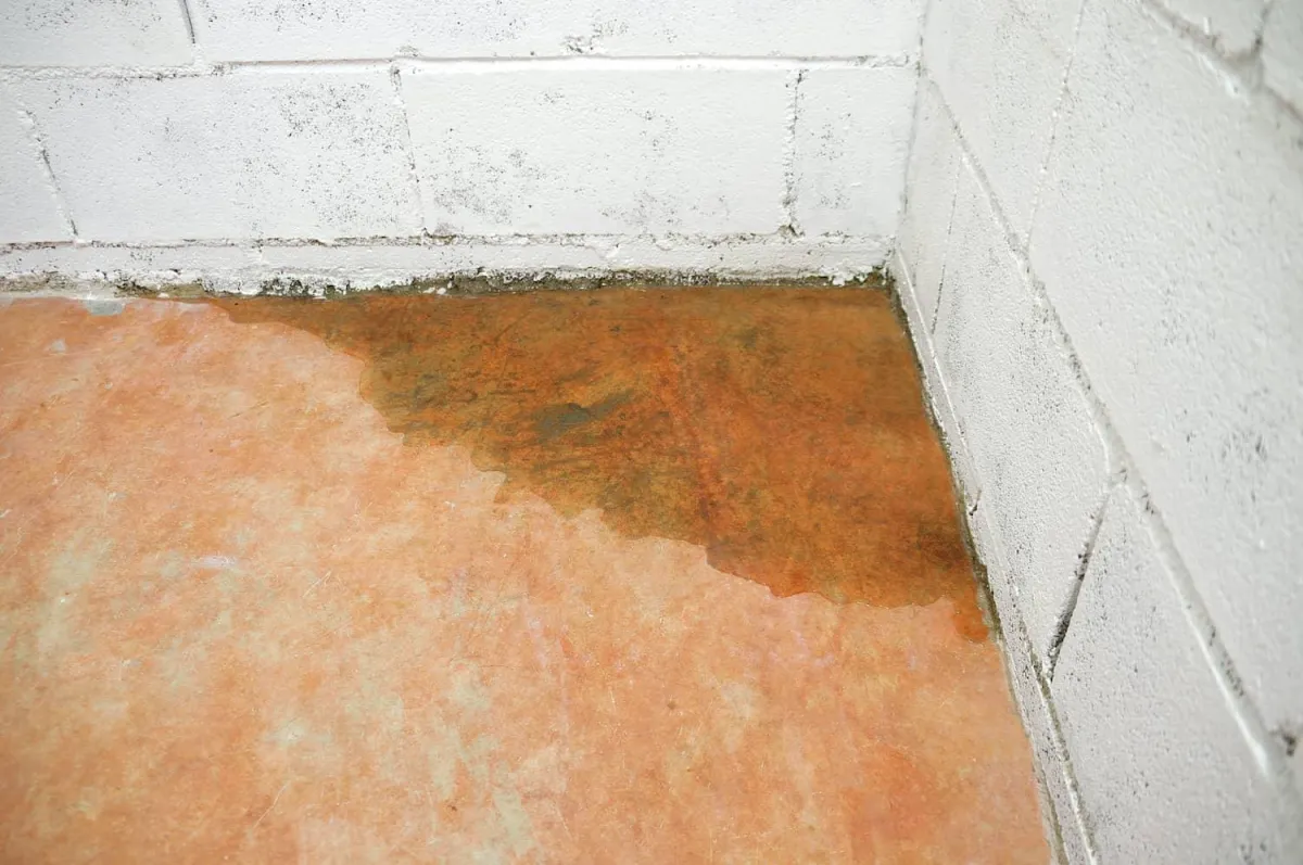 Basement Flood Repair In Springfield MO