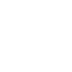 Instagram The Sunflower Agency Social Media Management