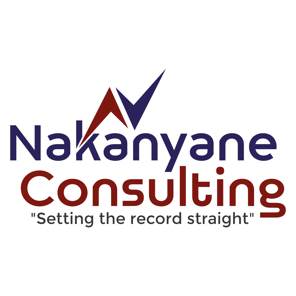 Nakanyane Consulting Kuruman - Logo