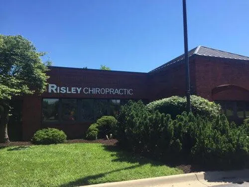 risley chiropractic