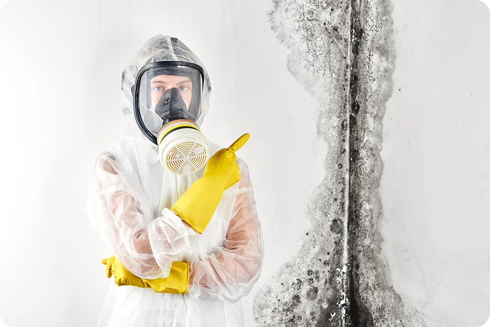 Mold Removal for Weston Florida