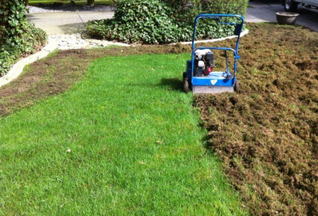 spokane lawn thatching