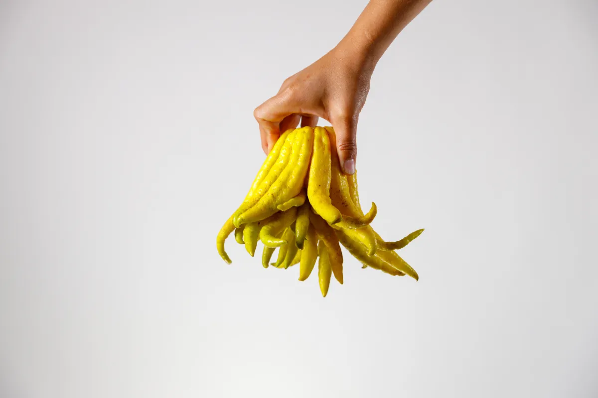 buddah palm, fruit, ugly, food styling, hands in pans, Los Angeles, New York, travel, food