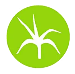 citrnella oil for the best mosquito repellent candles
