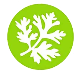 cedarwood oil for the best mosquito repellent candles