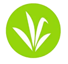 lemongrass oil for the best mosquito repellent candles