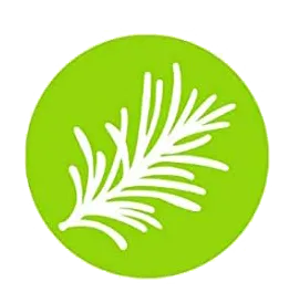 Roesmary oil for best mosquito repellent candles