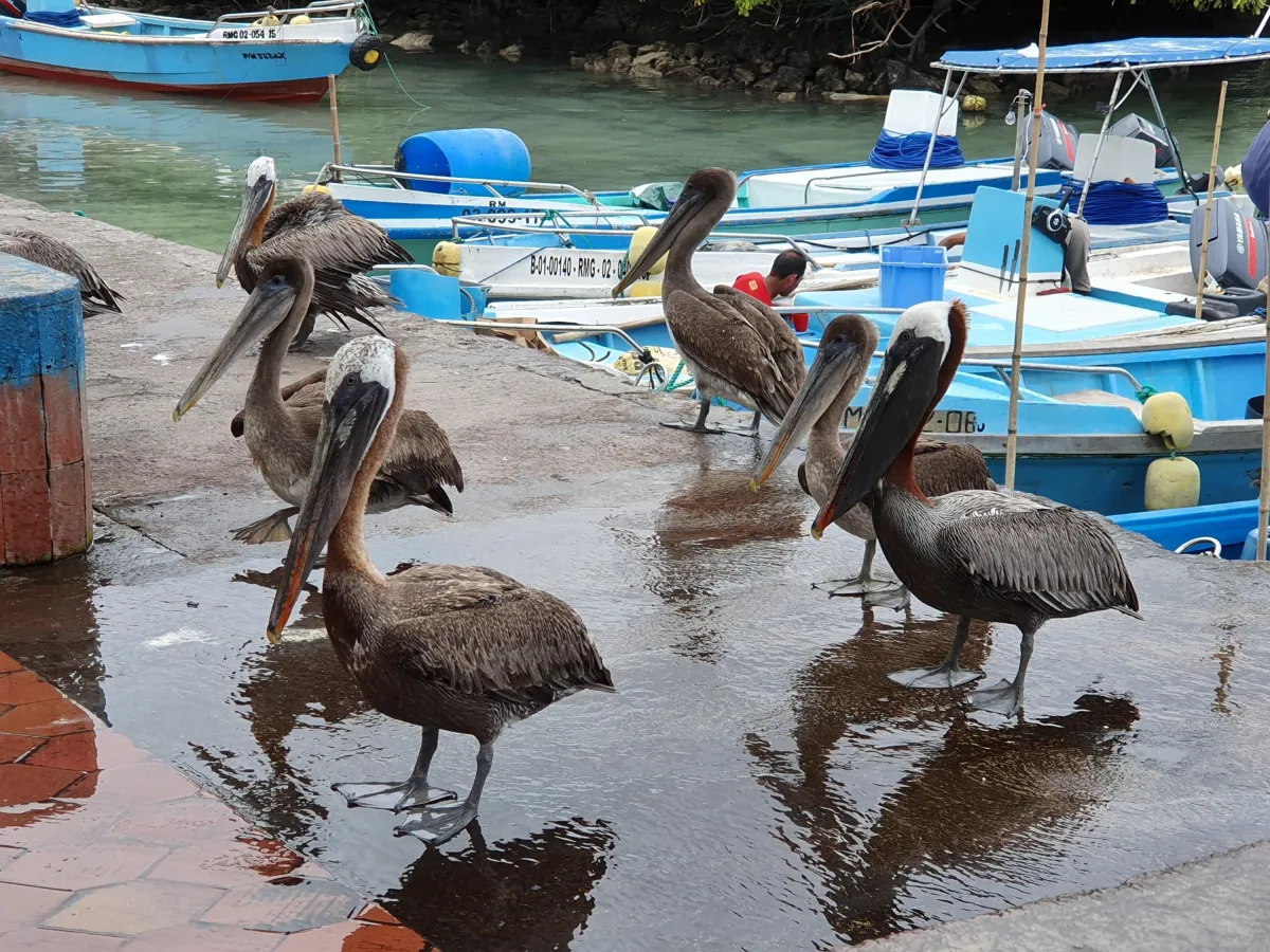 Quilitoa Lagoon, Ecuador