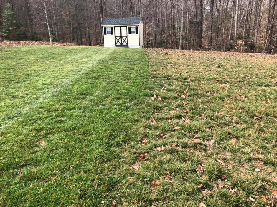 Lawn Care Services in Orange, VA