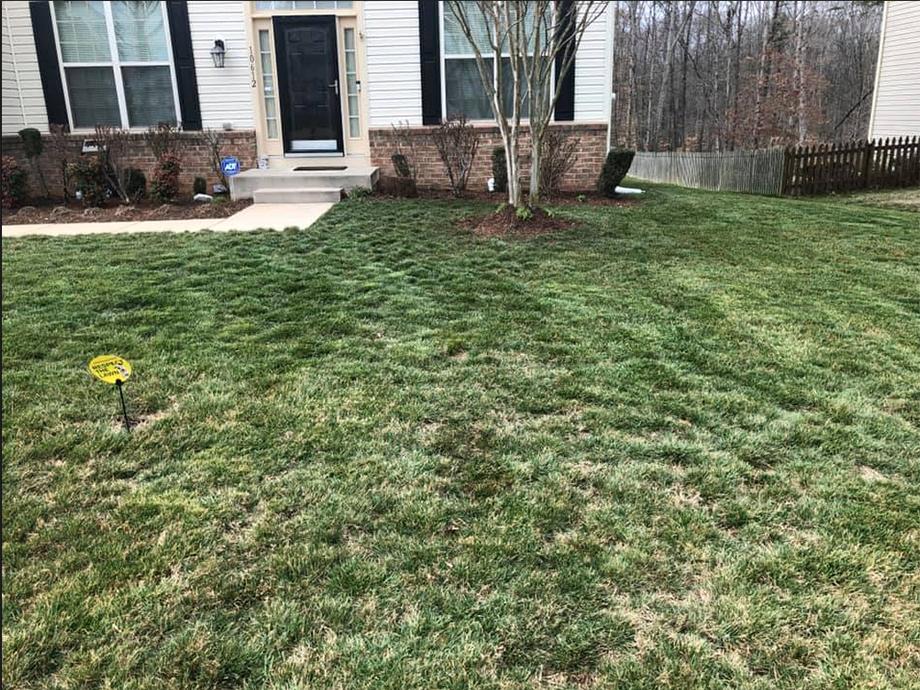 Lawn Maintenance in Orange, VA