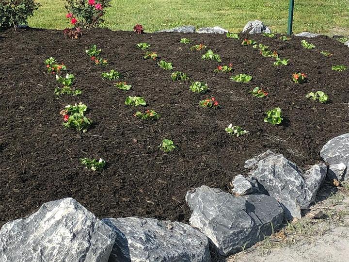 Landscaping Services in Orange, VA