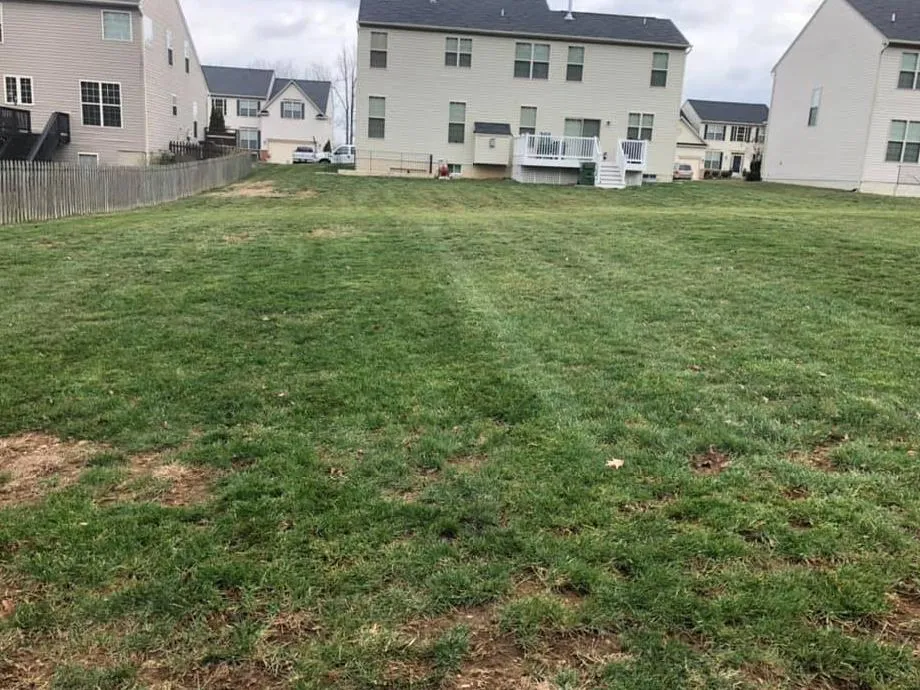 Lawn Mowing Service in Orange, VA