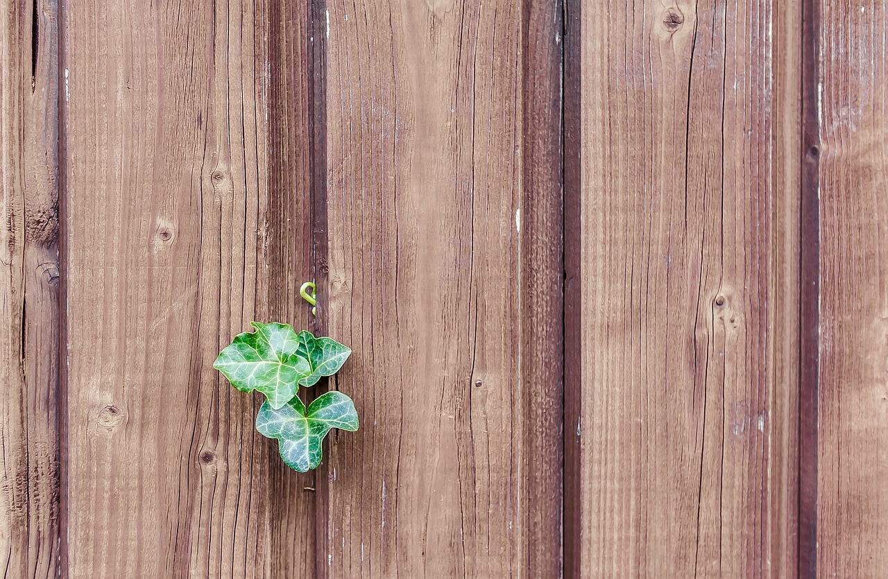 Image Representing Tommy's Custom Fencing