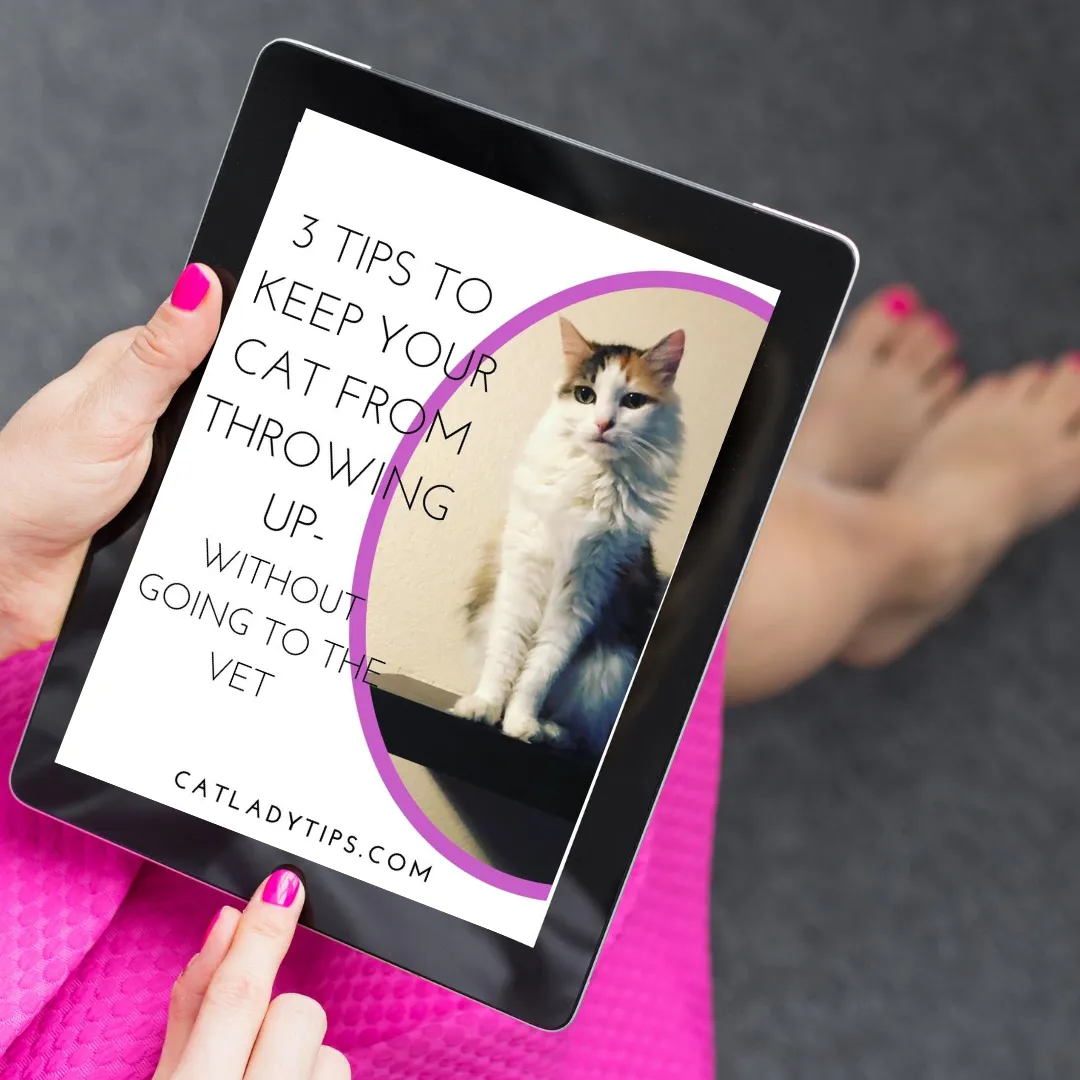 3 Tips To Keep Your Cat From Throwing Up Without Going To The Vet.