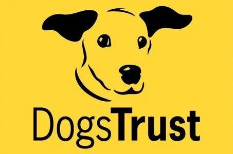 Free best sale dog fostering