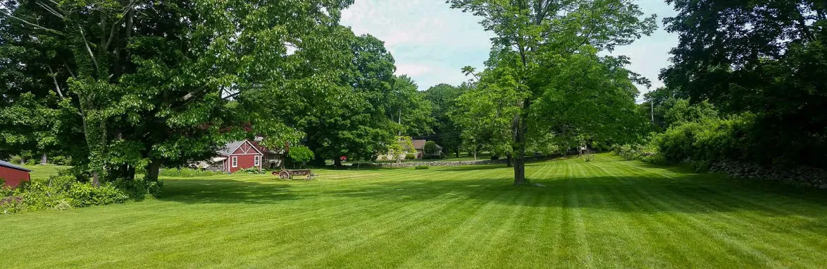 lawn care, residential landscaping services, landscaping service colorado springs, lawn care colorado springs